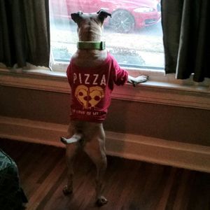 Meet your Posher, Molissa